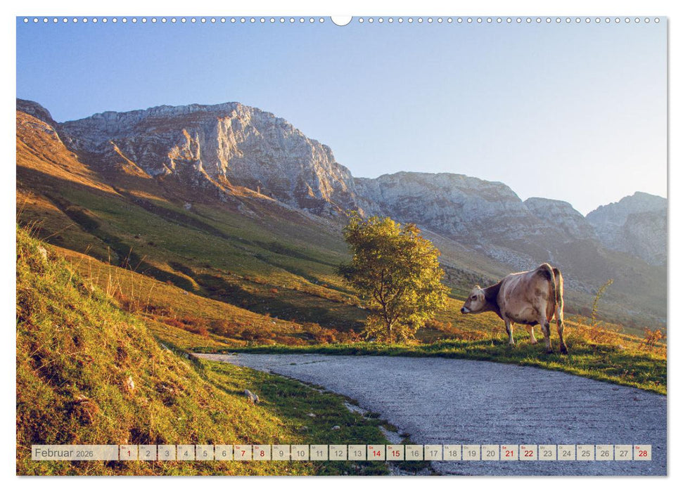 Slowenische Landschaften (CALVENDO Premium Wandkalender 2026)