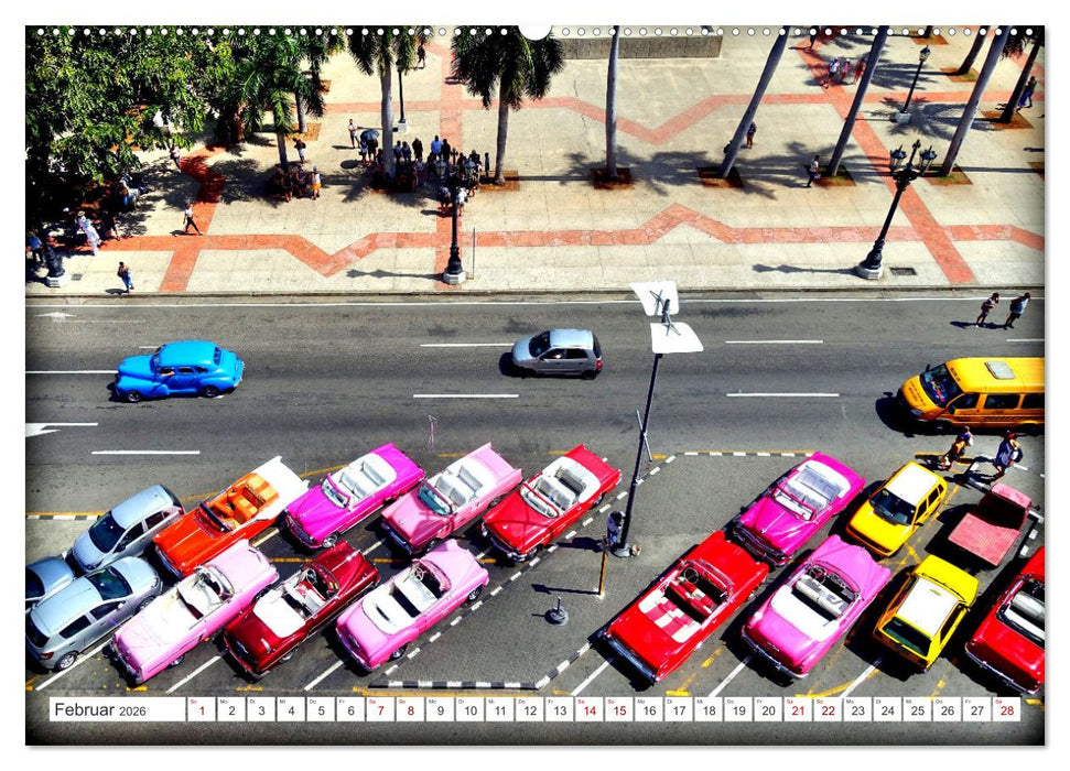 Vogel-Perspektive - Oldtimer in Havanna (CALVENDO Premium Wandkalender 2026)