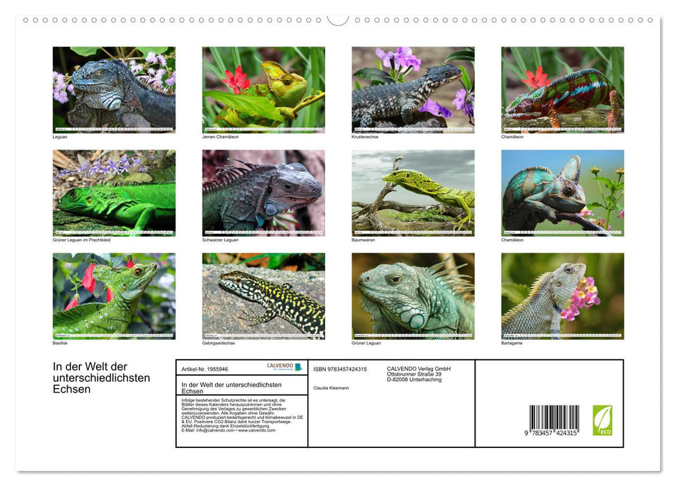 In der Welt der unterschiedlichsten Echsen (CALVENDO Premium Wandkalender 2026)