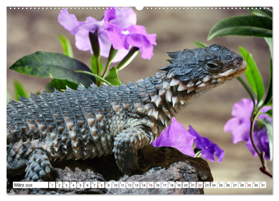 In der Welt der unterschiedlichsten Echsen (CALVENDO Premium Wandkalender 2026)