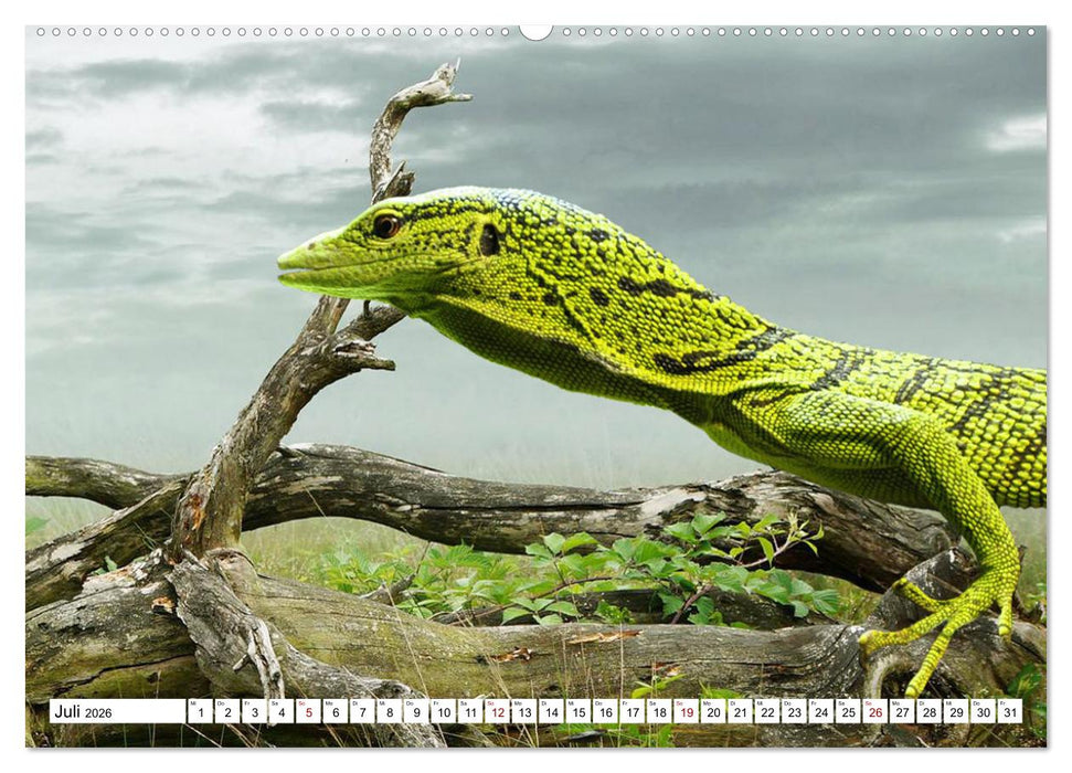 In der Welt der unterschiedlichsten Echsen (CALVENDO Premium Wandkalender 2026)