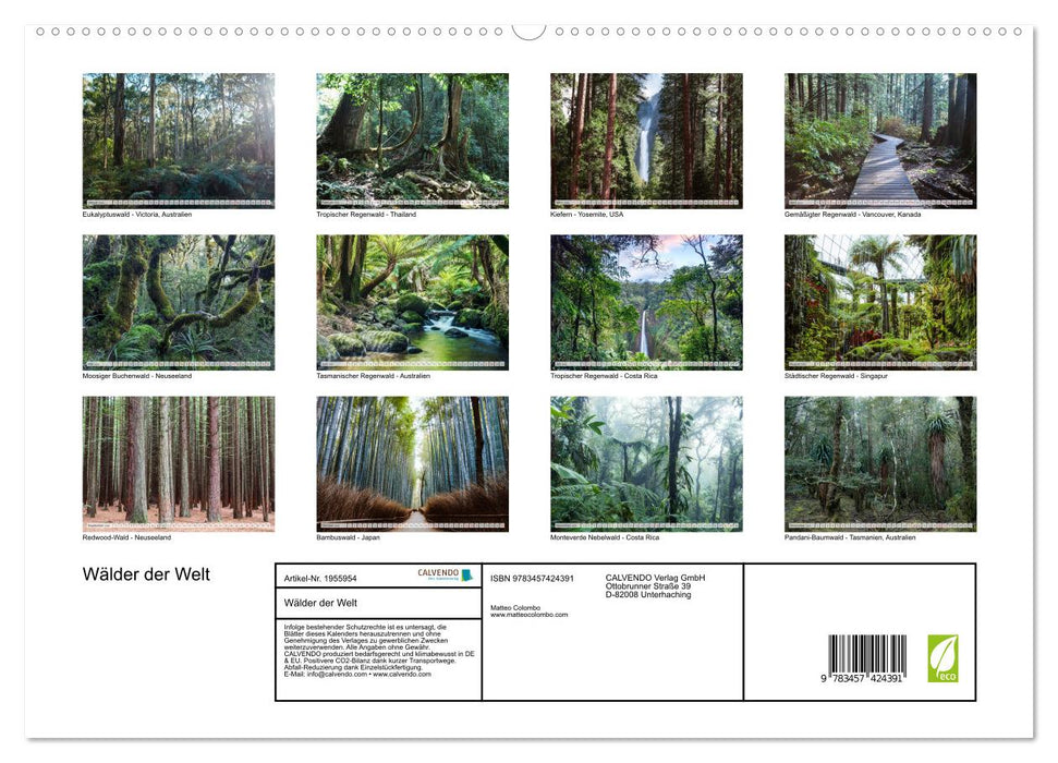 Wälder der Welt (CALVENDO Premium Wandkalender 2026)