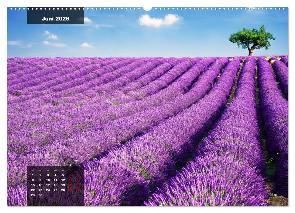 Provence - Farben und Düfte (CALVENDO Premium Wandkalender 2026)