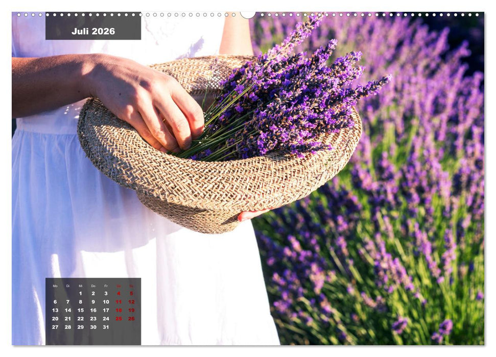 Provence - Farben und Düfte (CALVENDO Premium Wandkalender 2026)
