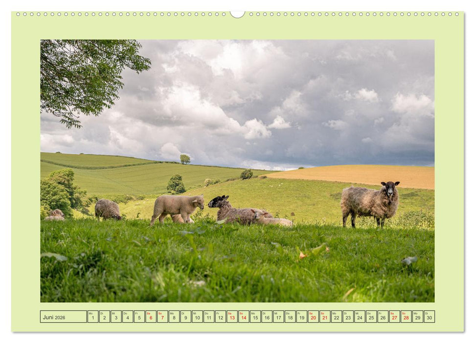 Südengland pur (CALVENDO Premium Wandkalender 2026)