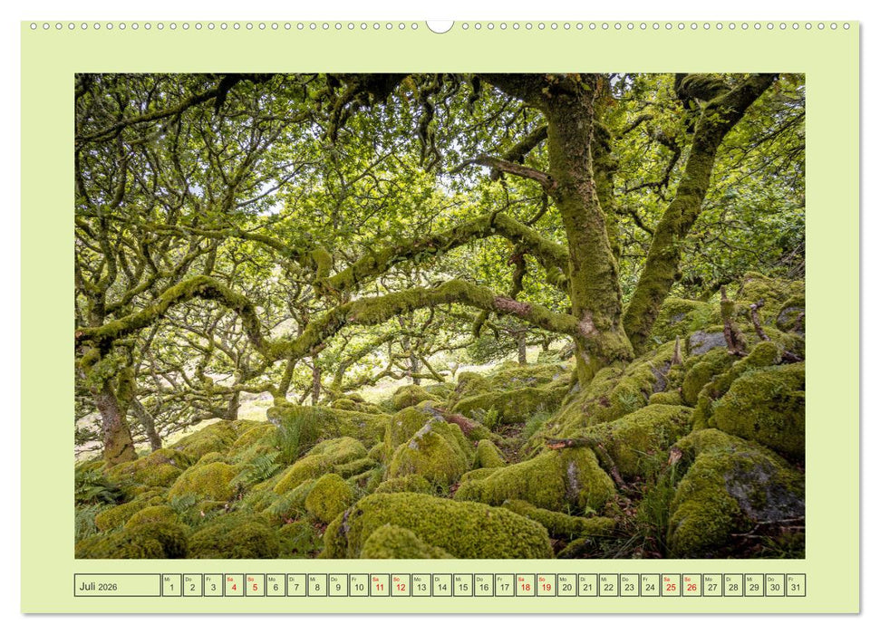 Südengland pur (CALVENDO Premium Wandkalender 2026)