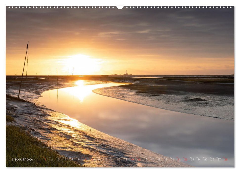 Wunderschönes Eiderstedt (CALVENDO Premium Wandkalender 2026)