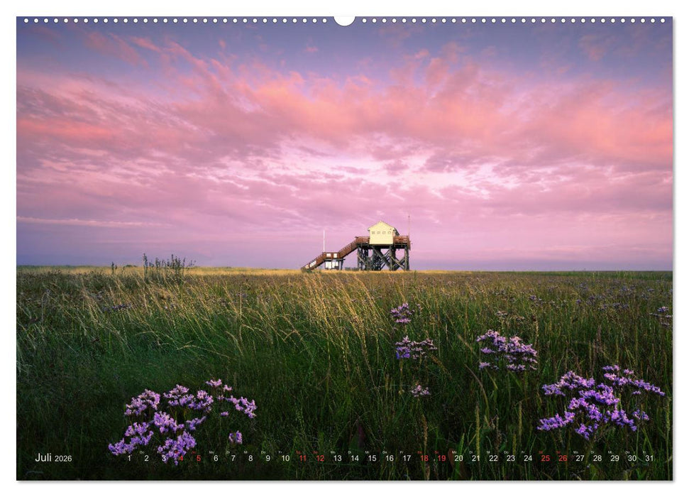 Wunderschönes Eiderstedt (CALVENDO Premium Wandkalender 2026)