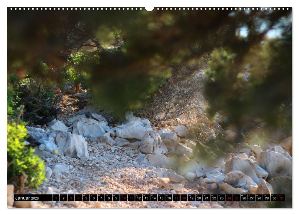 Cres, die steinige Insel (CALVENDO Premium Wandkalender 2026)