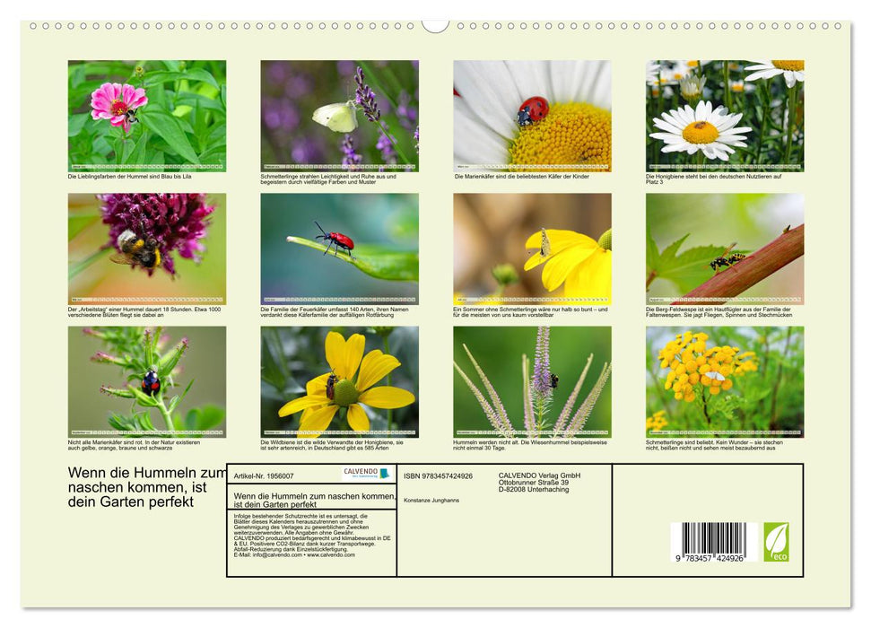Wenn die Hummeln zum naschen kommen, ist dein Garten perfekt (CALVENDO Premium Wandkalender 2026)