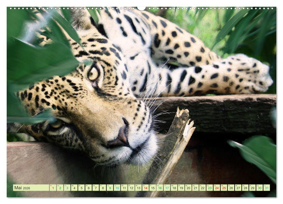 Hallo Dschungel - Artwork (CALVENDO Premium Wandkalender 2026)