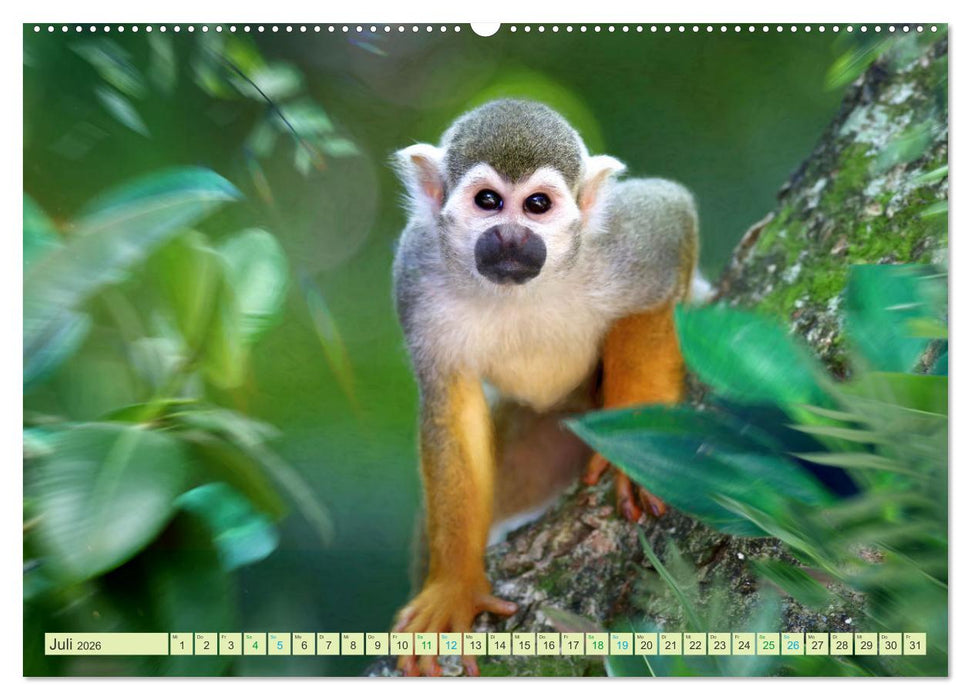 Hallo Dschungel - Artwork (CALVENDO Premium Wandkalender 2026)