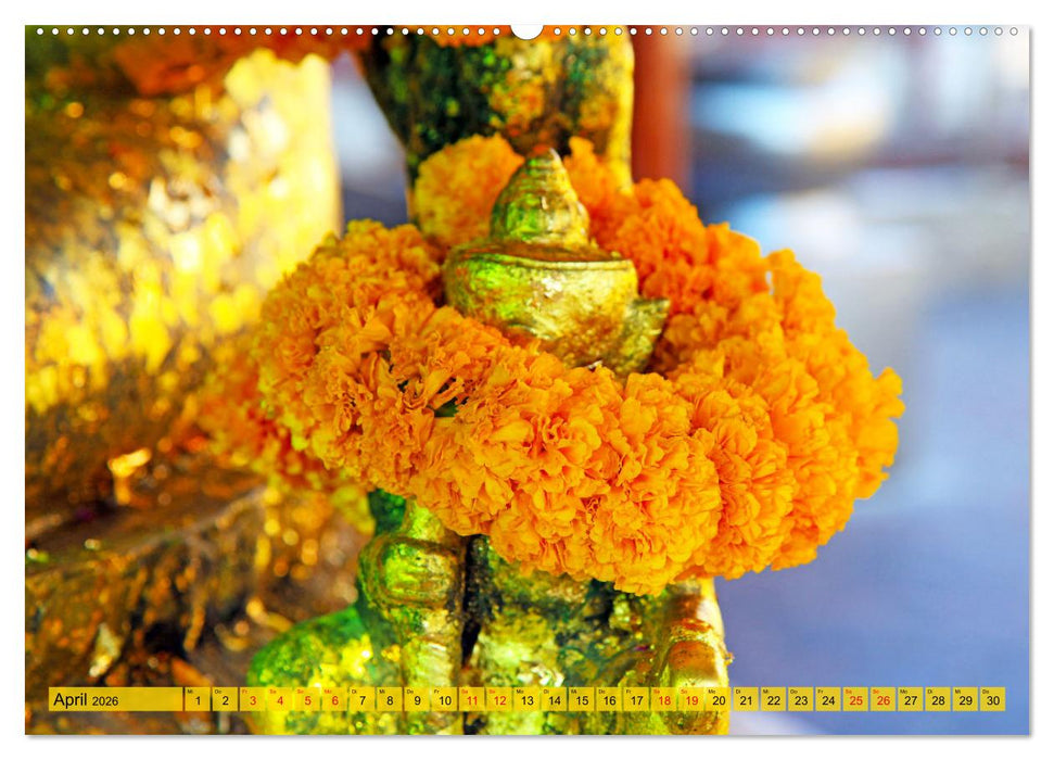 Farbenfrohes Thailand (CALVENDO Premium Wandkalender 2026)