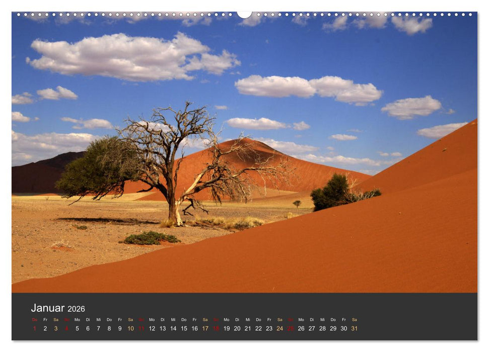 Wüstenbäume (CALVENDO Premium Wandkalender 2026)