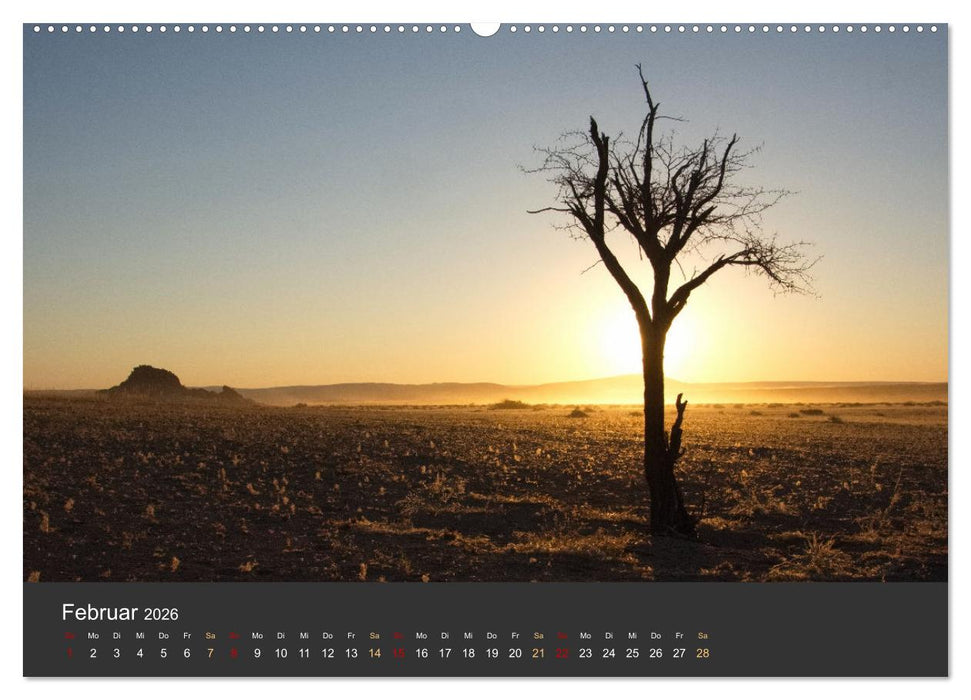 Wüstenbäume (CALVENDO Premium Wandkalender 2026)