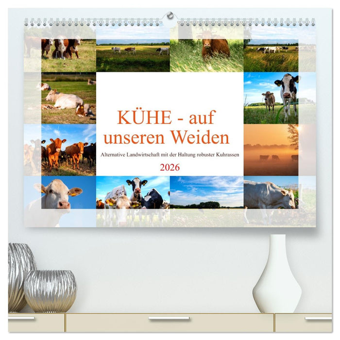 Kühe - auf unseren Weiden (CALVENDO Premium Wandkalender 2026)