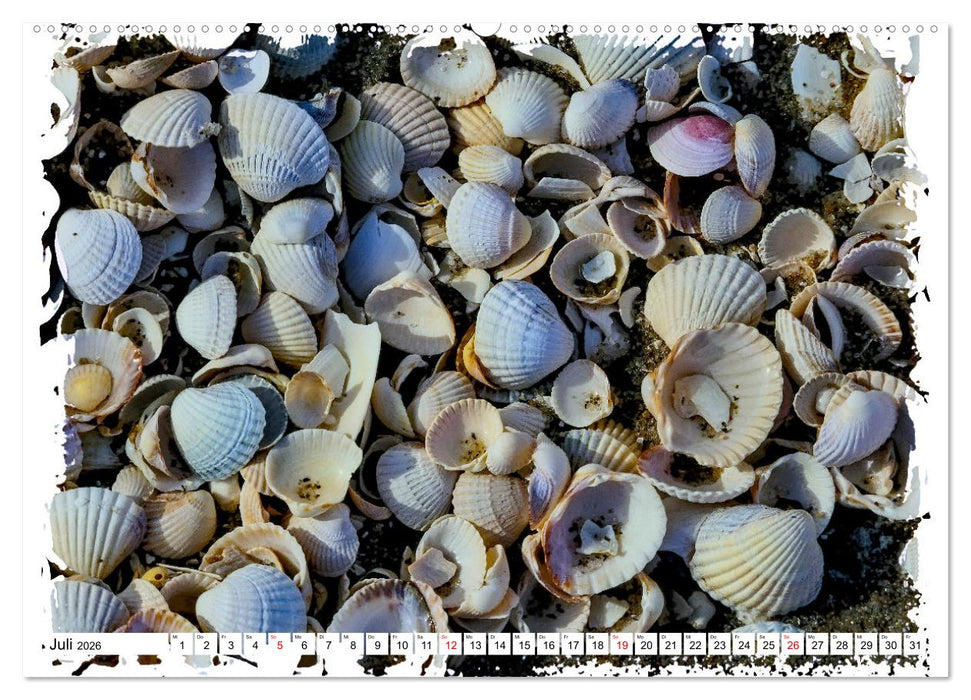 Zingst Sehnsucht nach Meer (CALVENDO Premium Wandkalender 2026)