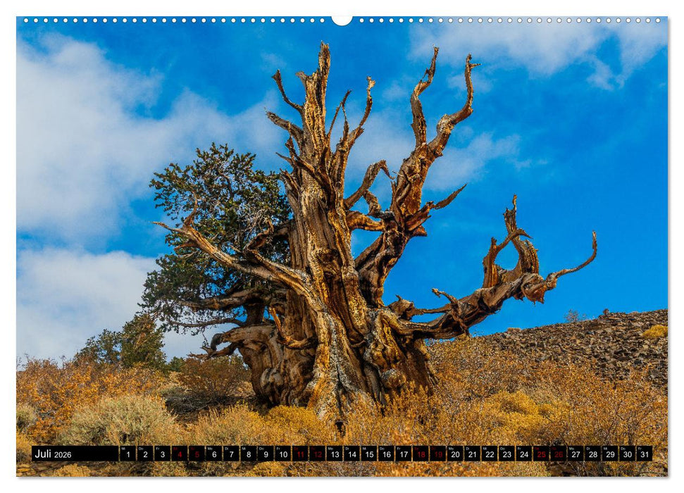 Sierra Nevada - Höhe 3000 (CALVENDO Premium Wandkalender 2026)