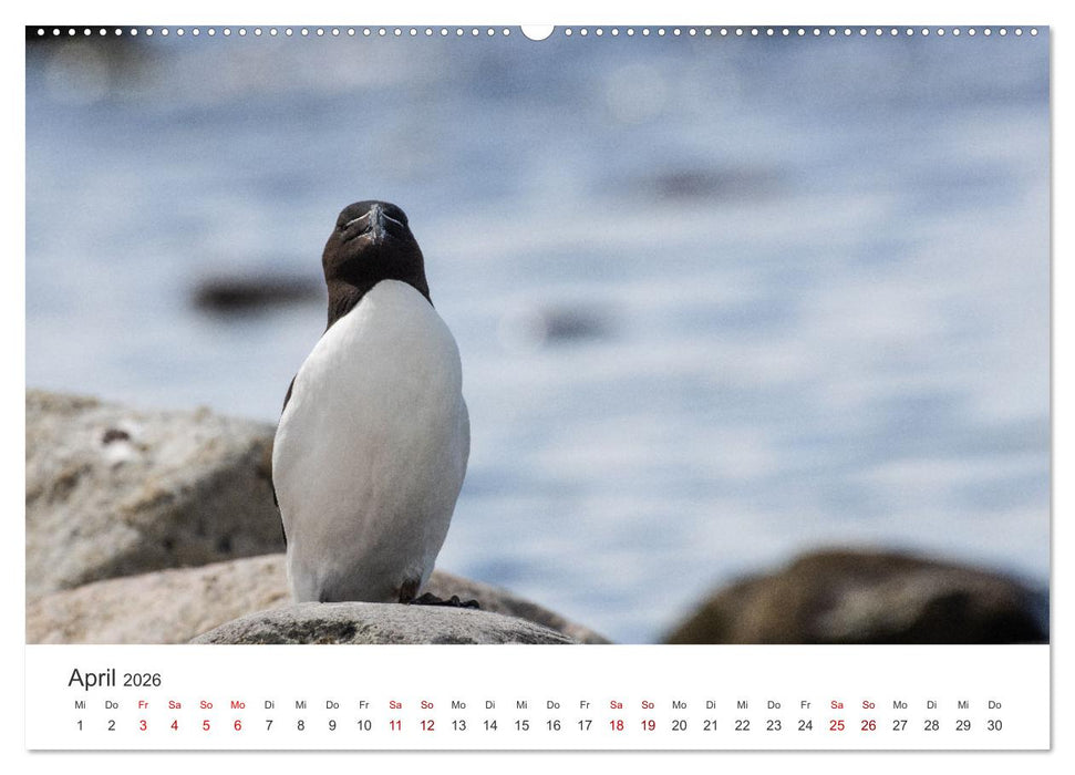 Schwedens Südosten (CALVENDO Premium Wandkalender 2026)