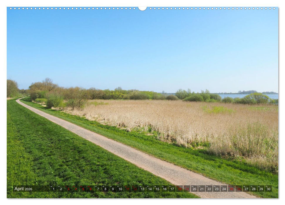 Dümmer, Malerische See-Momente (CALVENDO Premium Wandkalender 2026)