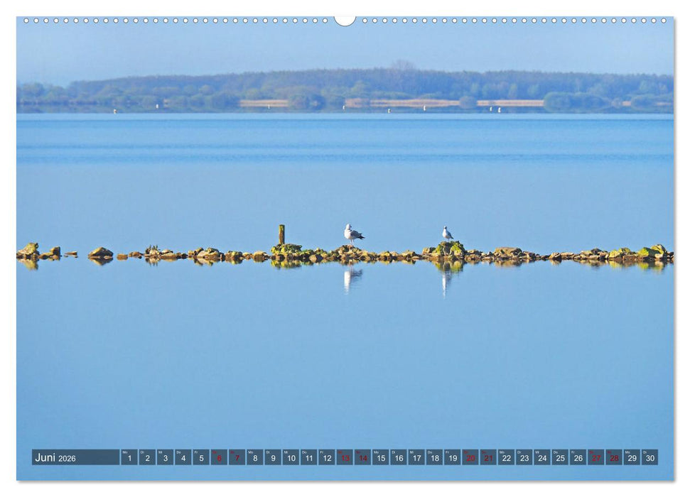 Dümmer, Malerische See-Momente (CALVENDO Premium Wandkalender 2026)