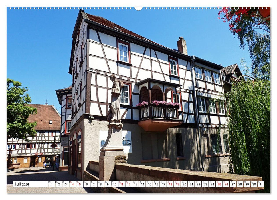 Liebliche Bergstraße - Burgen, Wein und Fachwerk (CALVENDO Premium Wandkalender 2026)