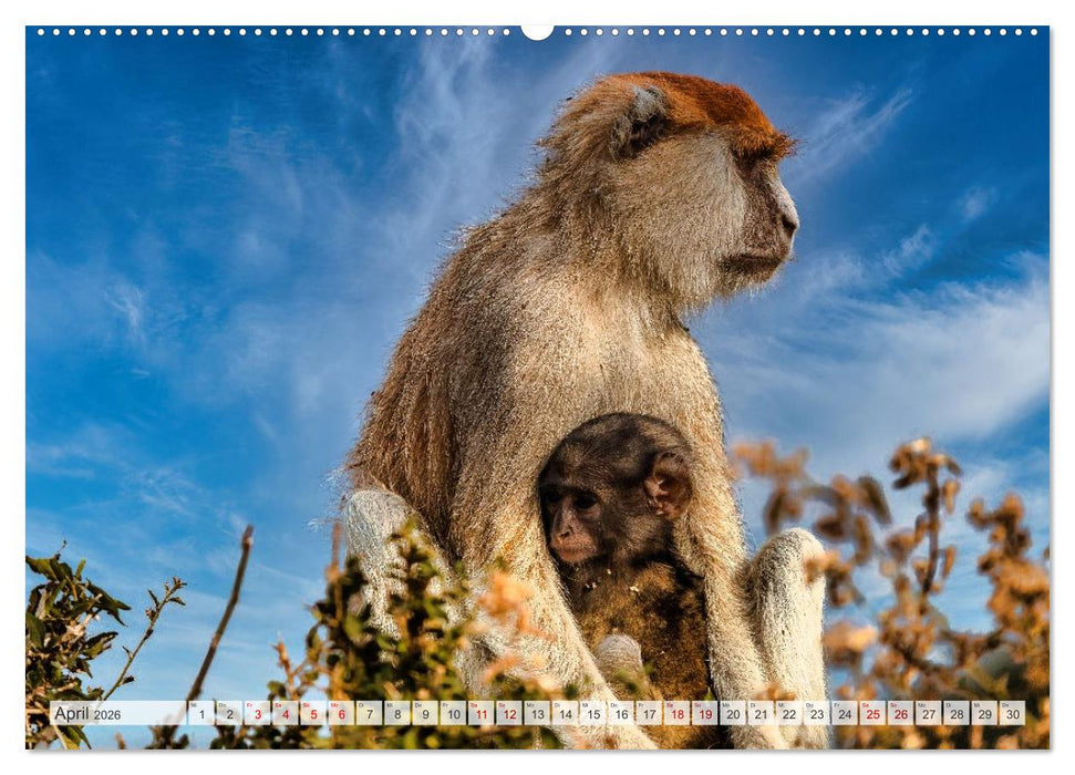 Uganda - ein Land der Vielfalt (CALVENDO Premium Wandkalender 2026)