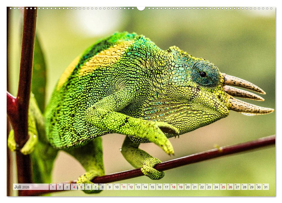 Uganda - ein Land der Vielfalt (CALVENDO Premium Wandkalender 2026)