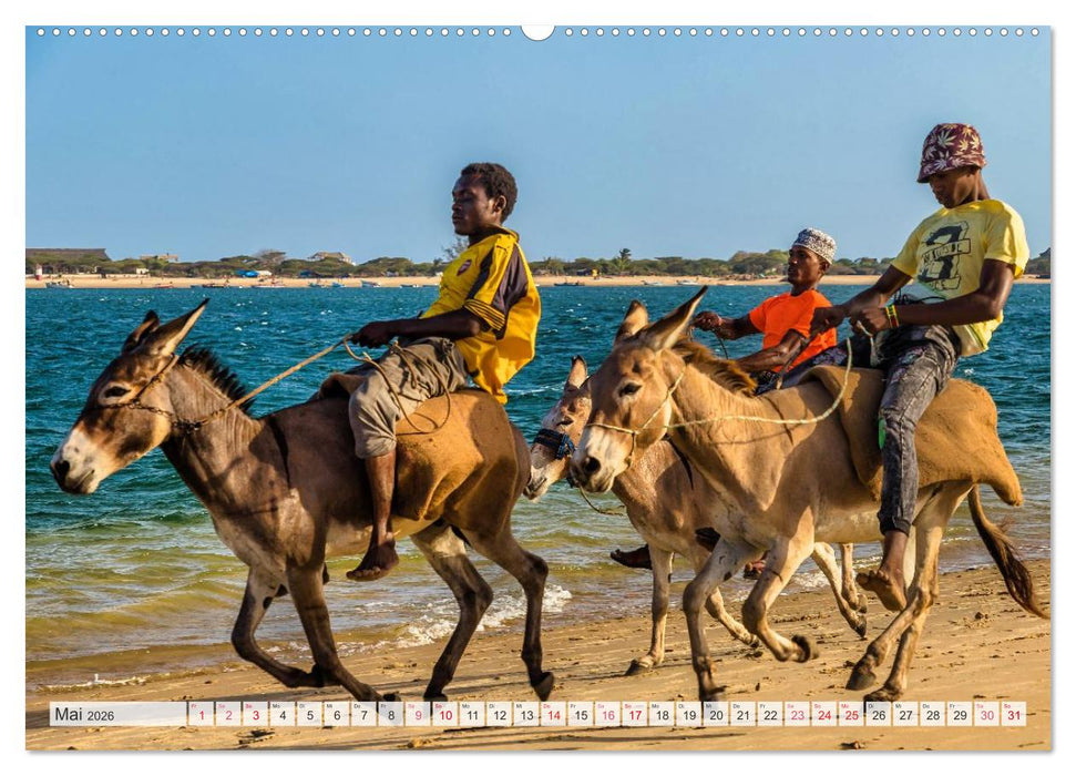 lamu - eintauchen in eine andere Welt vor der Küste Kenias (CALVENDO Premium Wandkalender 2026)