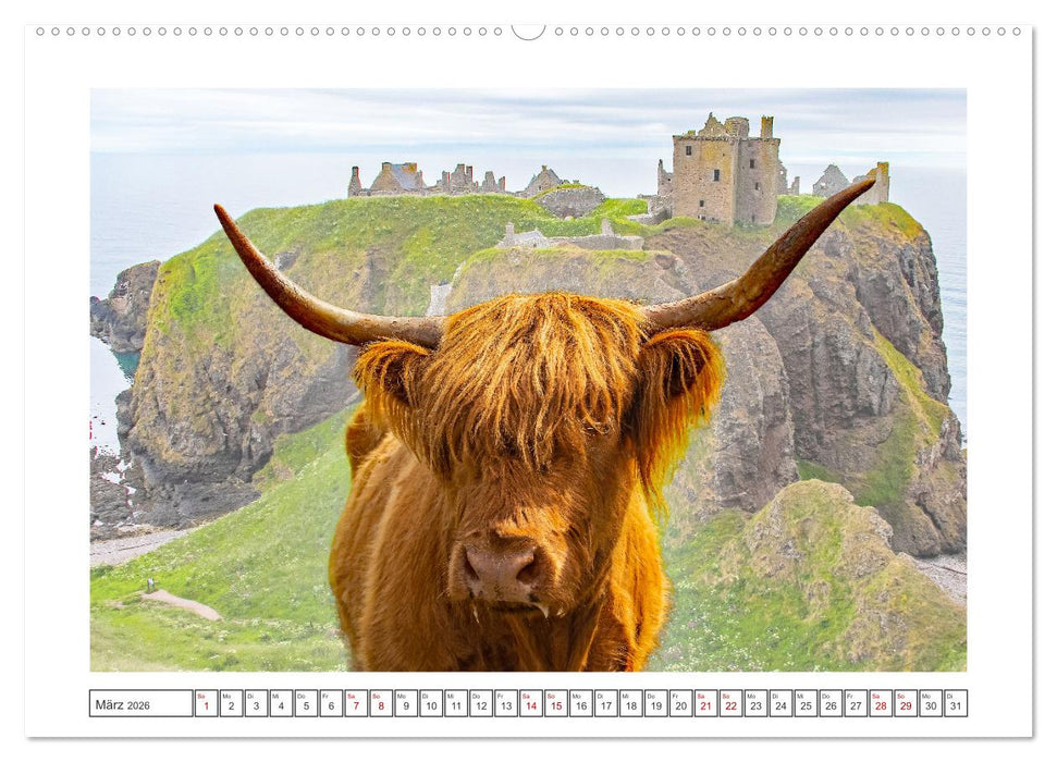 Schottland - eine Rundreise (CALVENDO Premium Wandkalender 2026)
