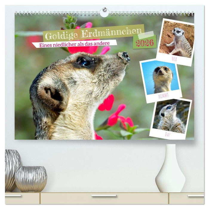 Goldige Erdmännchen (CALVENDO Premium Wandkalender 2026)