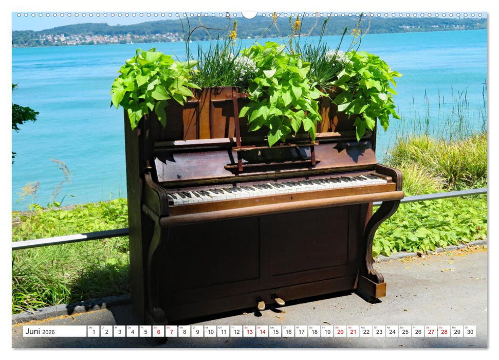 FUNDSTÜCKE am Wegesrand (CALVENDO Premium Wandkalender 2026)