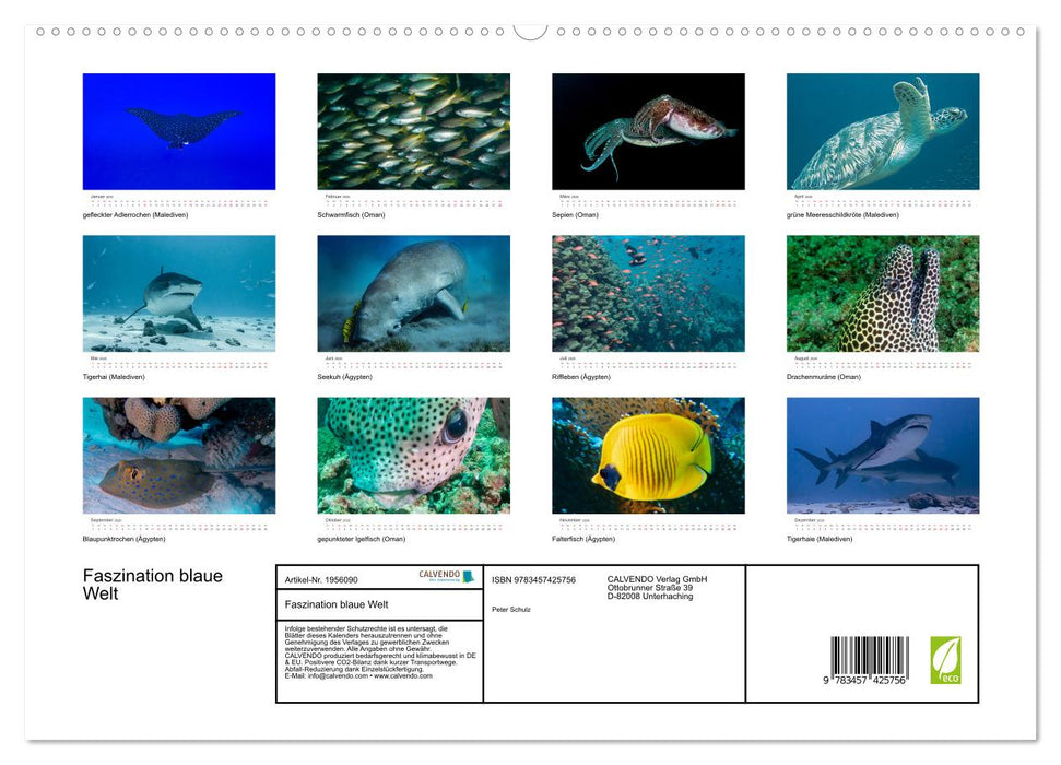 Faszination blaue Welt (CALVENDO Premium Wandkalender 2026)