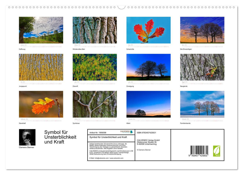 Symbol für Unsterblichkeit und Kraft (CALVENDO Premium Wandkalender 2026)