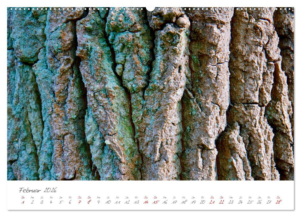 Symbol für Unsterblichkeit und Kraft (CALVENDO Premium Wandkalender 2026)