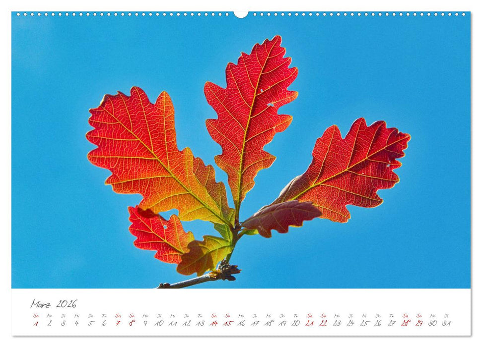 Symbol für Unsterblichkeit und Kraft (CALVENDO Premium Wandkalender 2026)