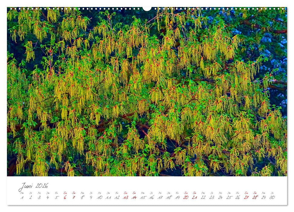 Symbol für Unsterblichkeit und Kraft (CALVENDO Premium Wandkalender 2026)