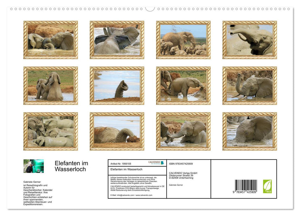 Elefanten im Wasserloch (CALVENDO Premium Wandkalender 2026)