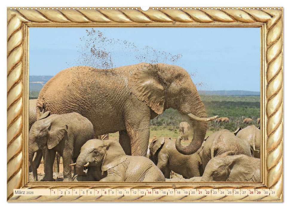 Elefanten im Wasserloch (CALVENDO Premium Wandkalender 2026)