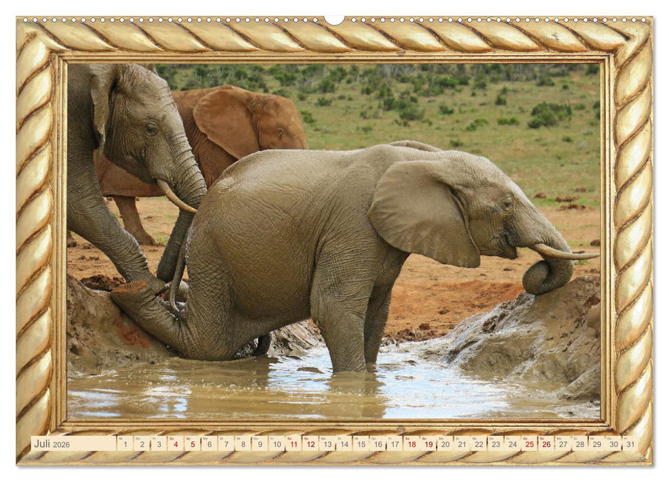 Elefanten im Wasserloch (CALVENDO Premium Wandkalender 2026)