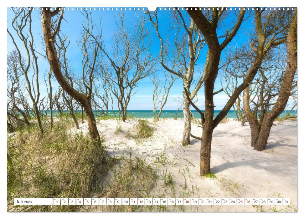 Fischland Darß, Land zwischen Ostsee und Bodden (CALVENDO Premium Wandkalender 2026)