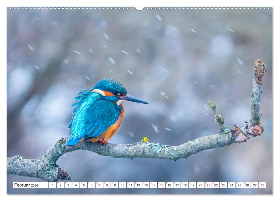 Naturschönheiten im Biosphärerenreservat Rhön (CALVENDO Premium Wandkalender 2026)