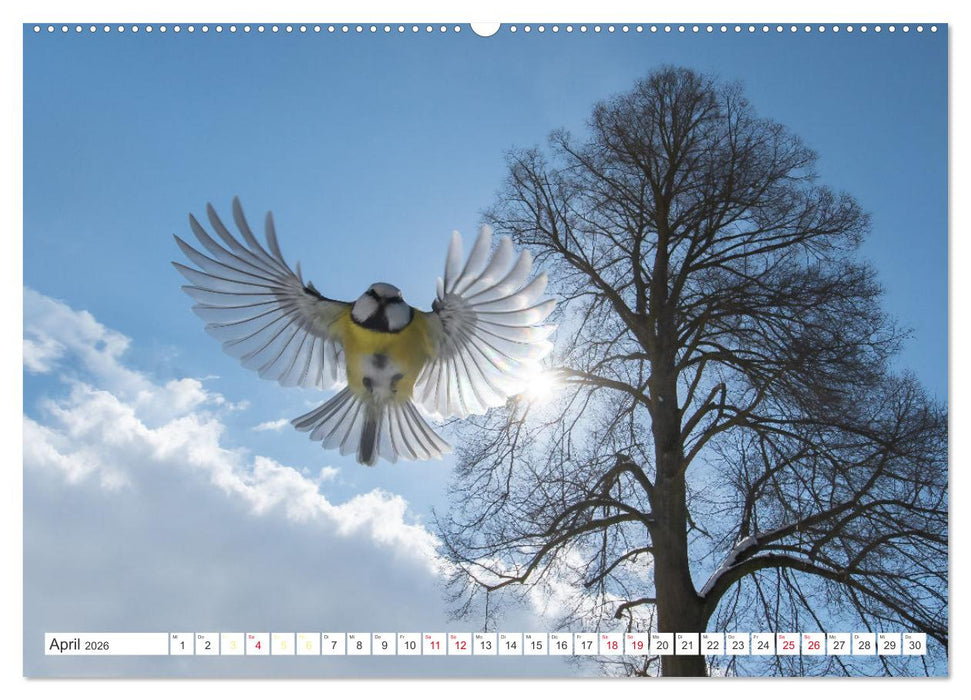 Naturschönheiten im Biosphärerenreservat Rhön (CALVENDO Premium Wandkalender 2026)