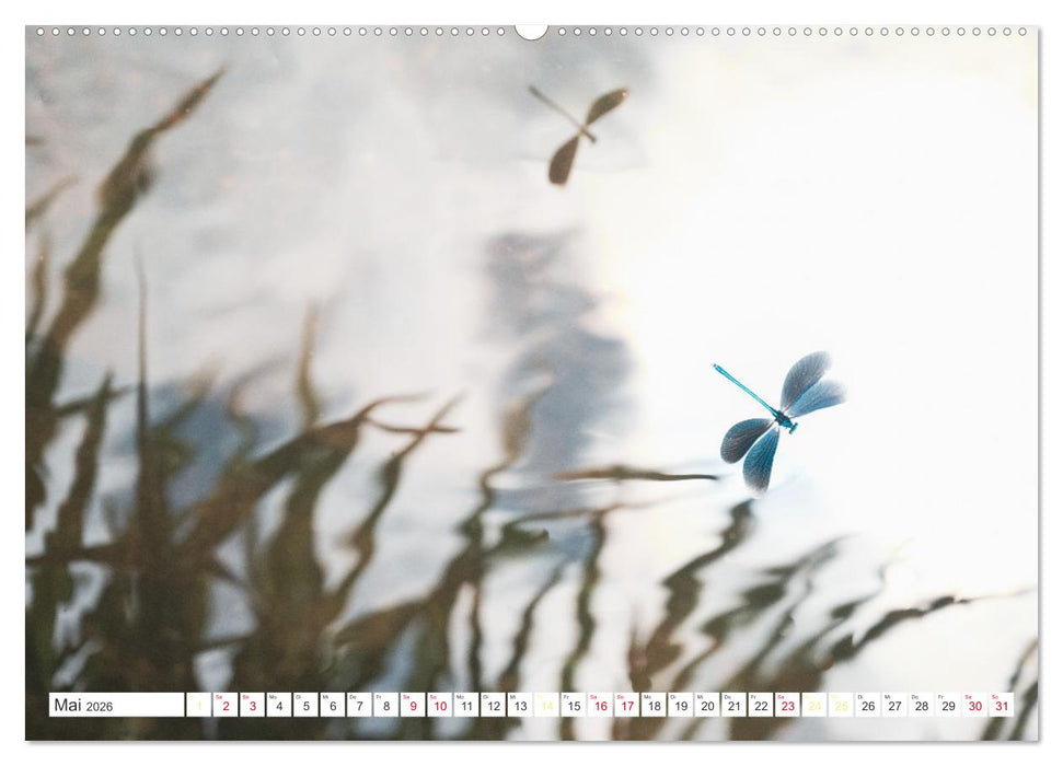 Naturschönheiten im Biosphärerenreservat Rhön (CALVENDO Premium Wandkalender 2026)