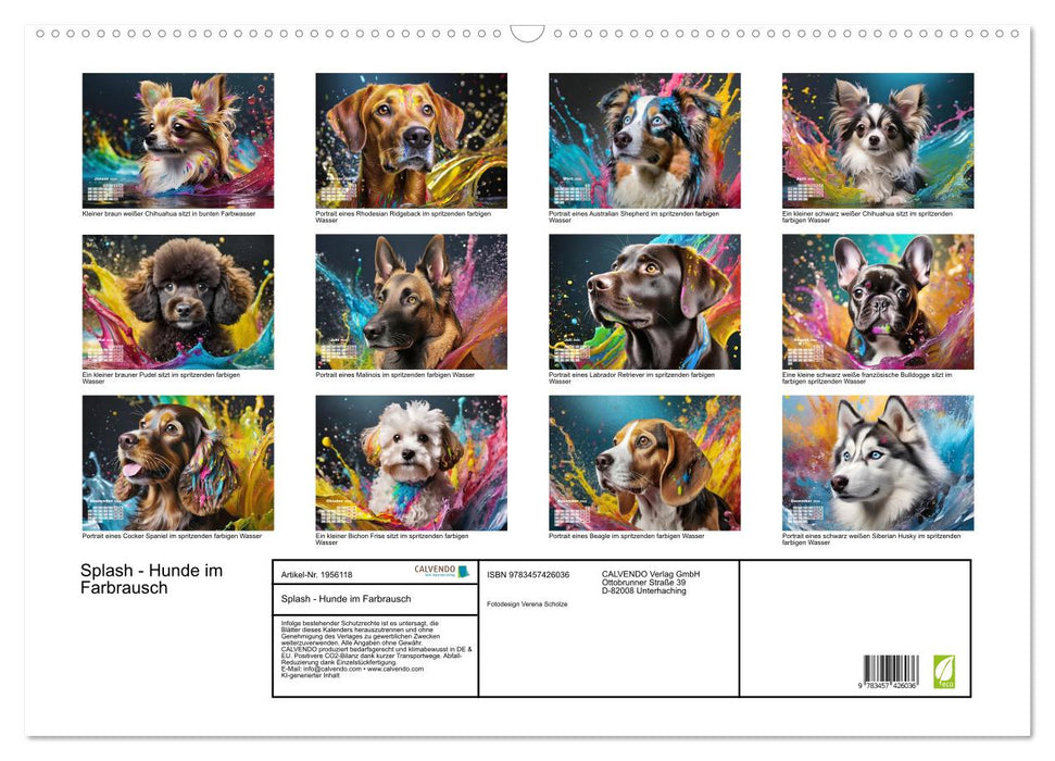 Splash - Hunde im Farbrausch (CALVENDO Wandkalender 2026)