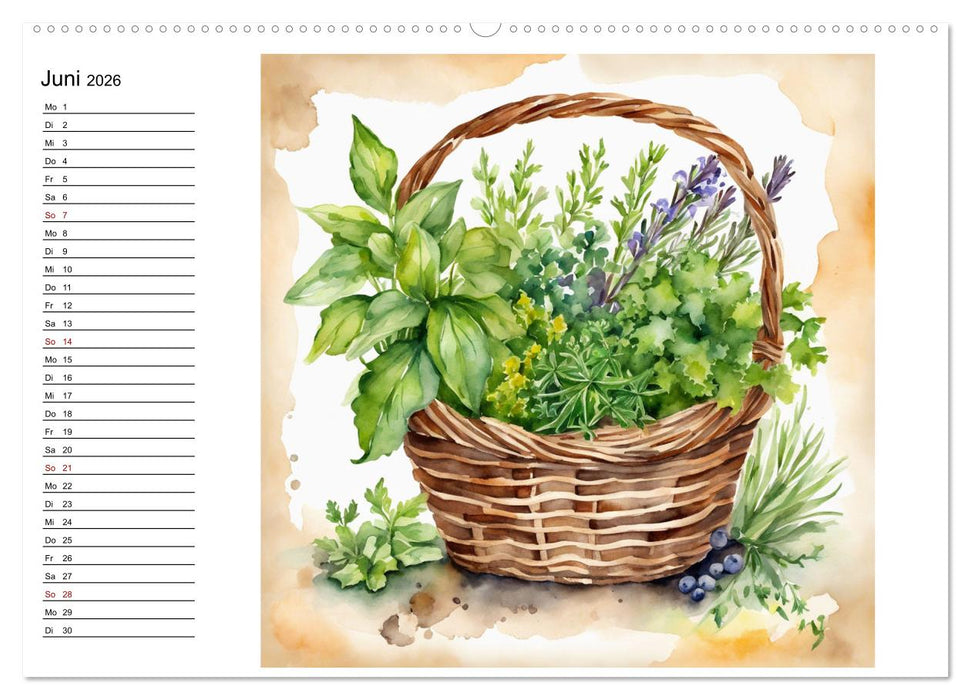 Frische Ernte (CALVENDO Wandkalender 2026)