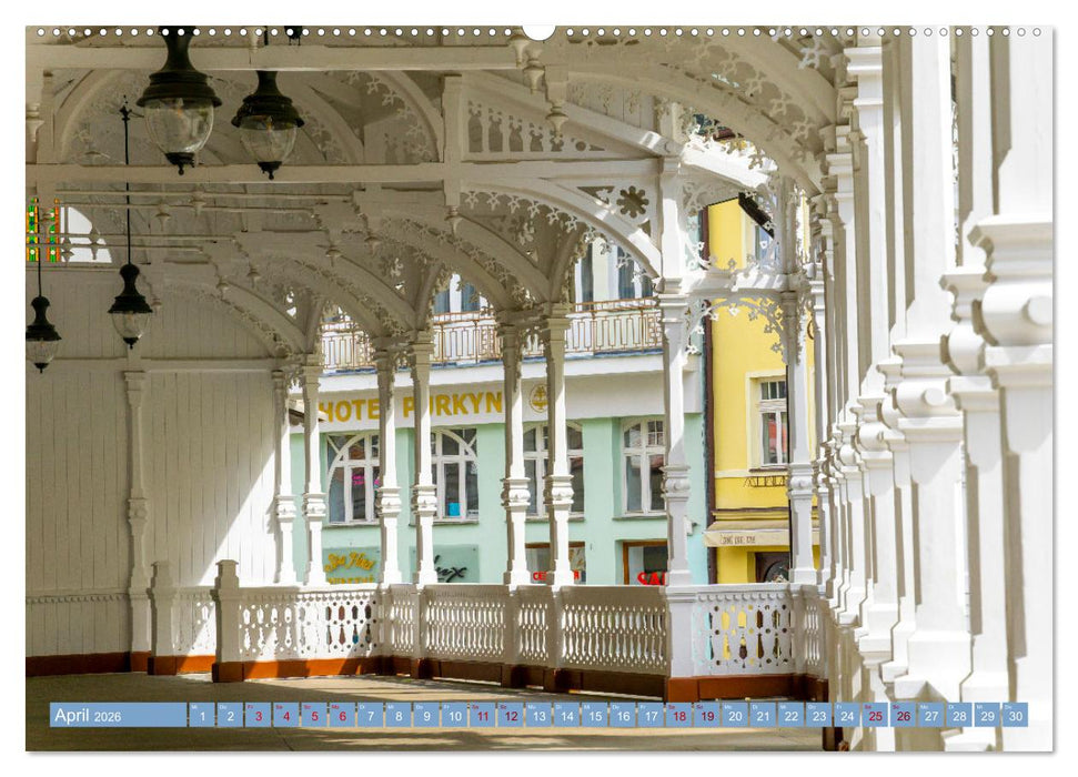 Karlovy Vary - Stadt der heilenden Quellen (CALVENDO Premium Wandkalender 2026)