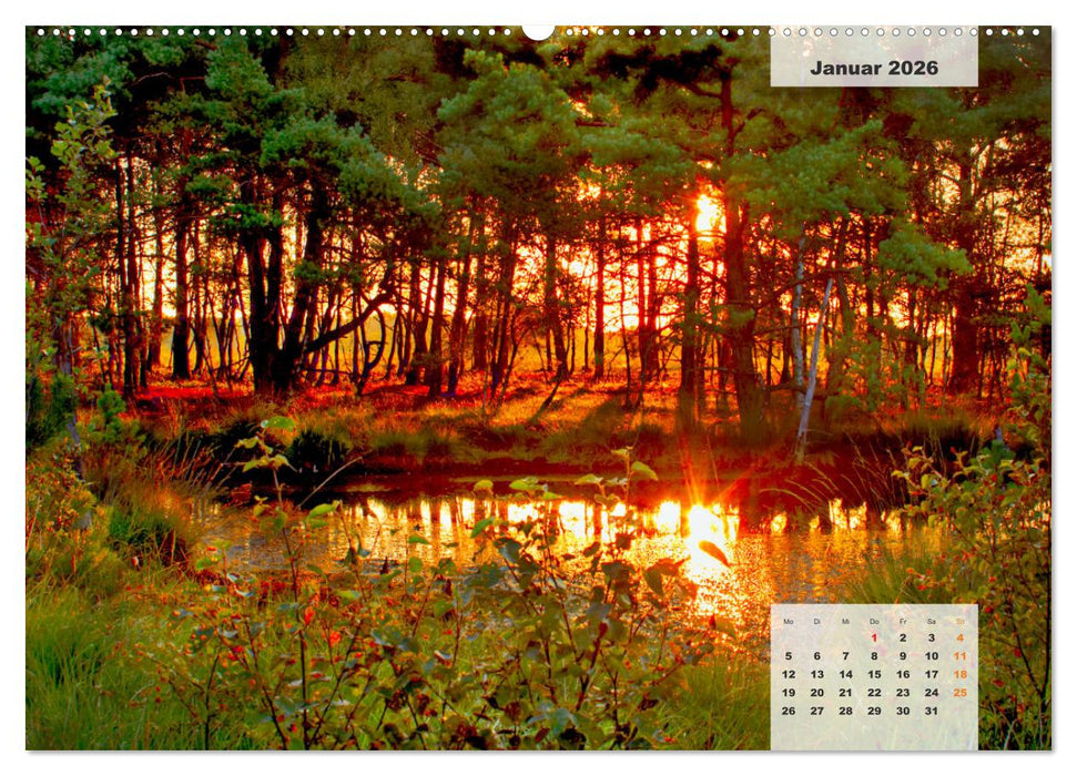 Niedersachsens Moorlandschaften - Das Pietzmoor, Schneverdingen (CALVENDO Premium Wandkalender 2026)