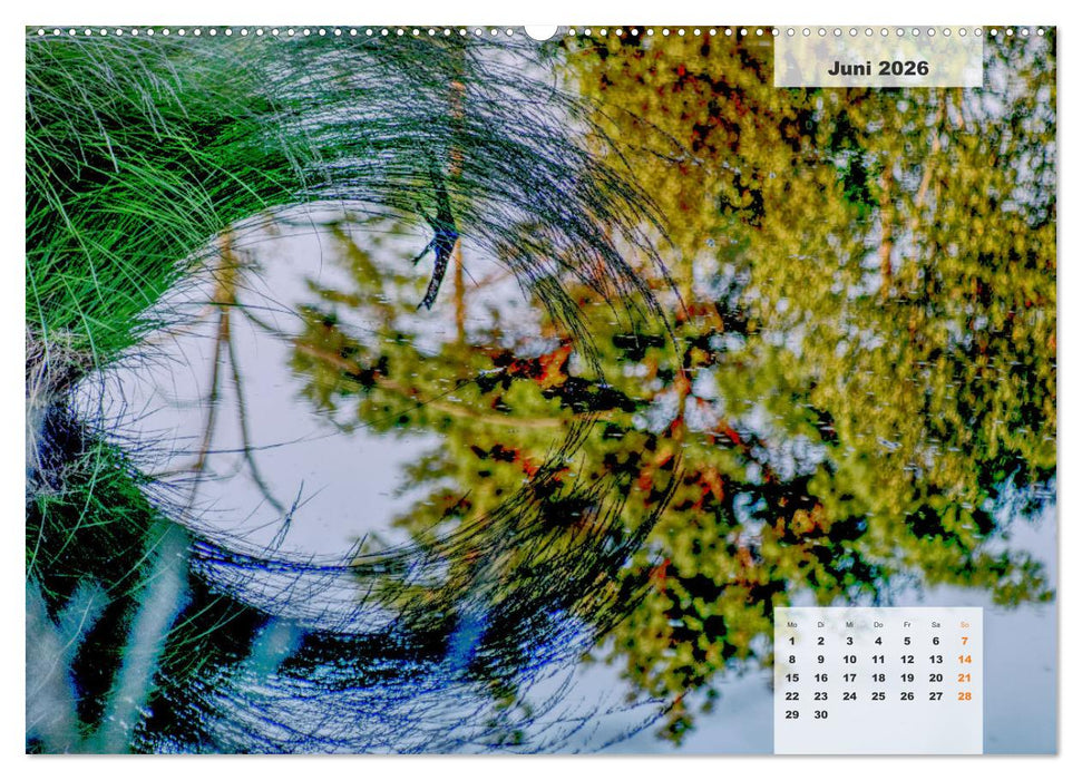 Niedersachsens Moorlandschaften - Das Pietzmoor, Schneverdingen (CALVENDO Premium Wandkalender 2026)