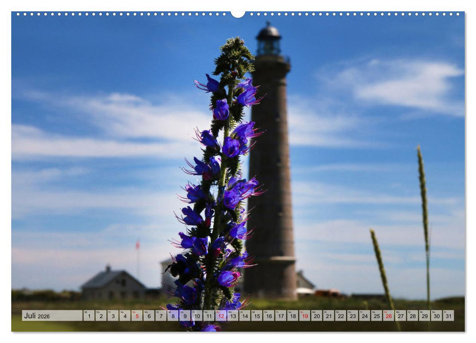 Skagen – Licht und Leben an Dänemarks Nordspitze (CALVENDO Premium Wandkalender 2026)